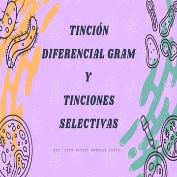 Tincion de Gram Postivia y Negativa en biologia