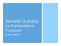 Semantic Clustering for Nomenclature Purposes