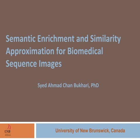 Semantic enrichment and similarity approximation for biomedical sequence images