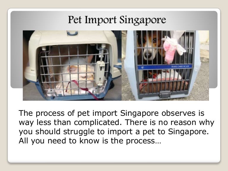 Sembawang animal quarantine station