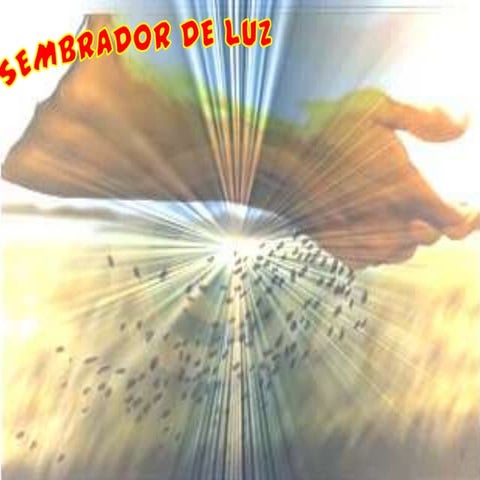 Sembrador de luz