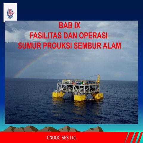 SEMBUR ALAM.ppt