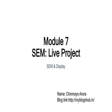 SEMDisplay_LP_ChinmayeArora.pptx