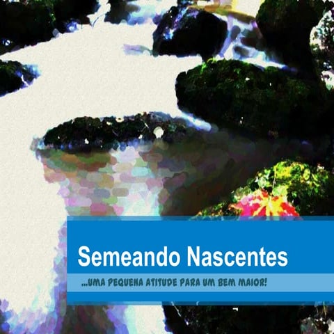 Projeto Semeando Nascentes