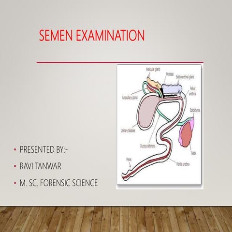 Presumptive test for seminal fluid | DOCX