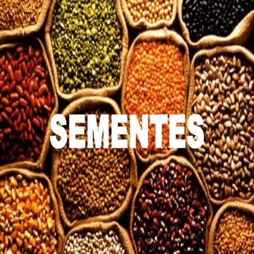 AS SEMENTES, REPRODUÇÃO DOS VEGETAIS.pdf