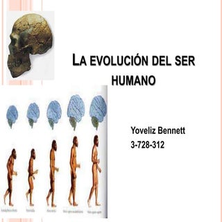 evolucion del ser humano (origen de...