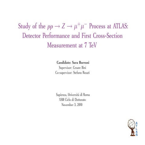 [L'angolo del PhD] Sara Borroni - XXIII Ciclo - 2010