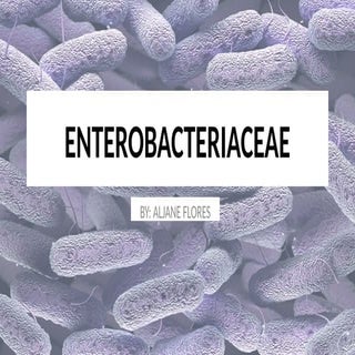 REPORT IN SEMI-FINAL-4.-ENTEROBACTERIACEAE.pptx