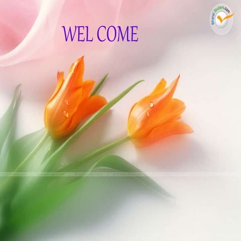 Total Quality Management 