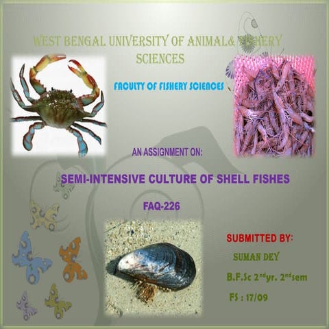 Semi-Intensive Culture of Shellfishes for Sustainable Aquaculture | PPTX