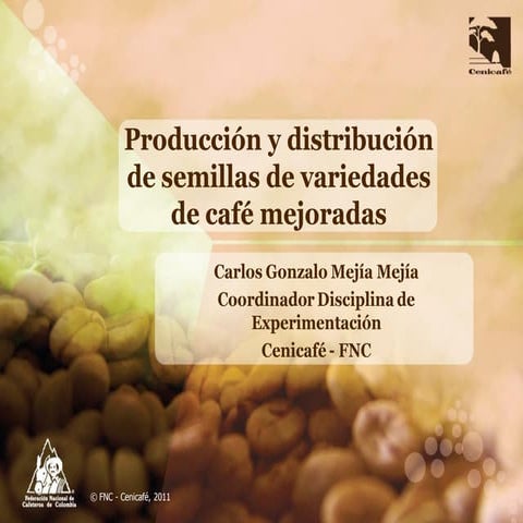 Producción y distribución de semillas de variedades de café mejoradas