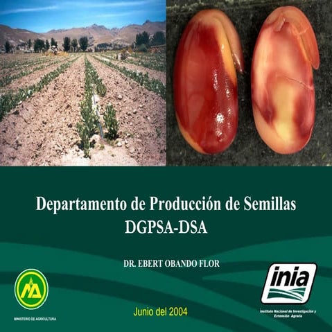Semillas ortodoxas y recalcitrantes | PDF