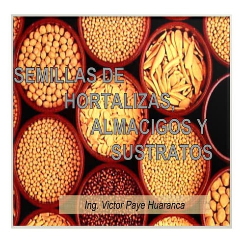 Semillas y almacigos