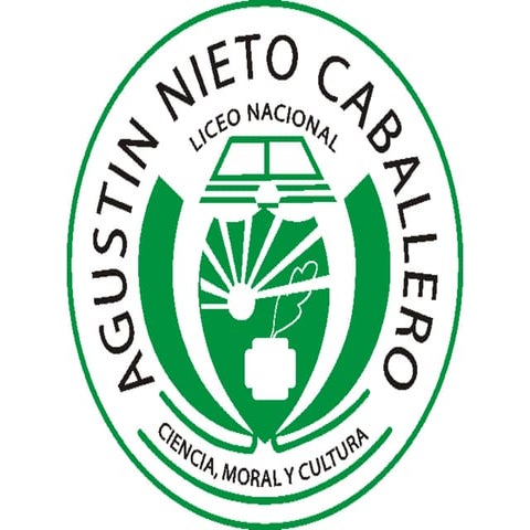 Semillero agustino 2012