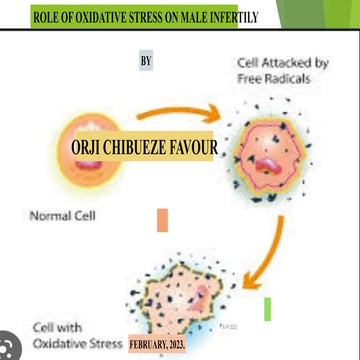 Role of Oxidative Stress on male infertility