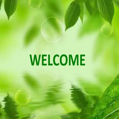 agencies of environmental protection