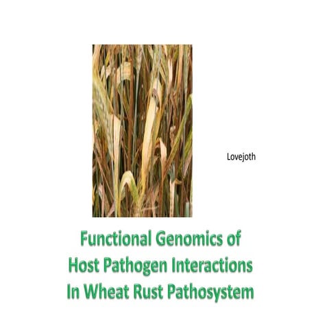 Functional Genomics of Plant Pathogen interactions in Wheat Rust Pathosystem