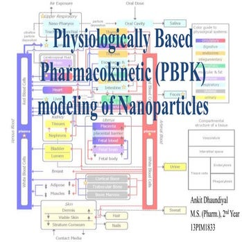 Physiologically Based Pharmacokinetic (PBPK) modeling of Nanoparticles