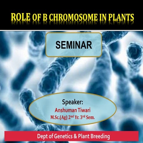 Role of B chromosome in plants
