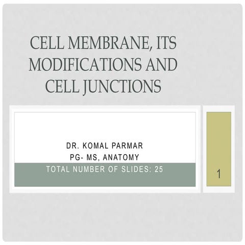 Cell Menbrane