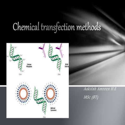 Transfection methods 