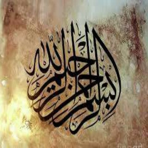 Peptide inhibitors for HCV