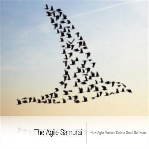 Agile Spirit Base On The Book "Agile Samuari"