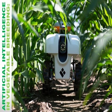 Seminar-Artificial intelligence in vegetable breeding [Autosaved] (1).pptx