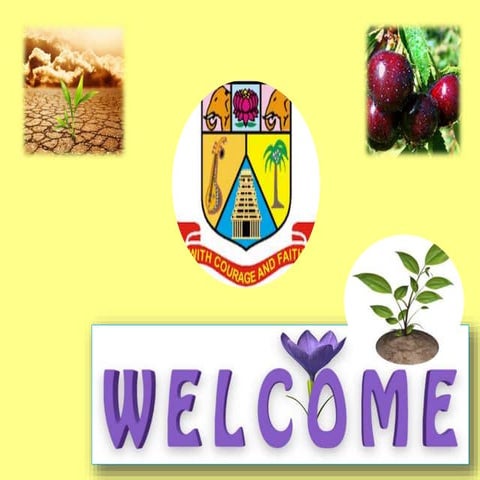 Climate Smart Agriculture