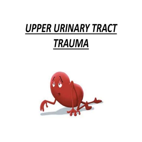 Seminar   upper urinary tract trauma