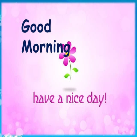 Investigations in hemorrhegic disorders ppt Prashant Mune