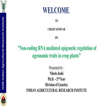 "Non-coding RNA mediated epigenetic regulation of agronomic traits in ...