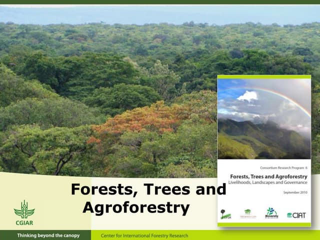 Seminar 13 Mar 13 - Opening Session - Forest, Trees and Agroforestry by RNasi