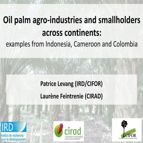 Seminar 13 Mar 2013 - Session 4 - Oilpalm Indonesia-Cameroon-Colombia_ by PLe...