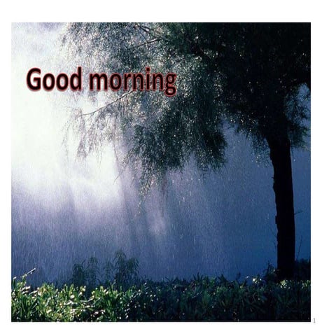 Epithelium in General 