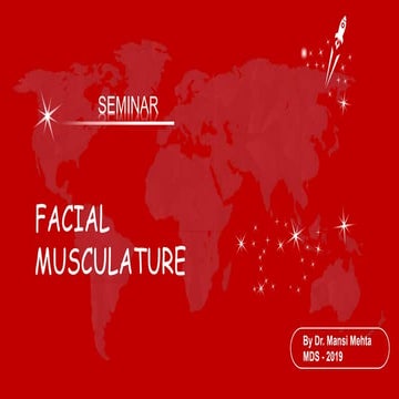 Facial Musculature