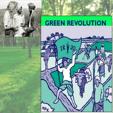 Methods of genetic purity testing