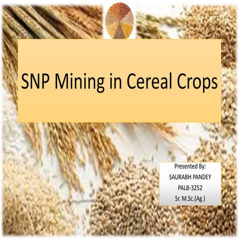 SNp mining in crops