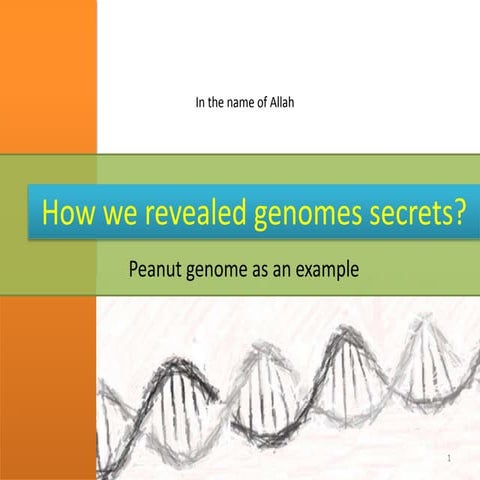How we revealed genomes secrets? 