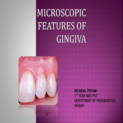 Microscopic features of gingiva.