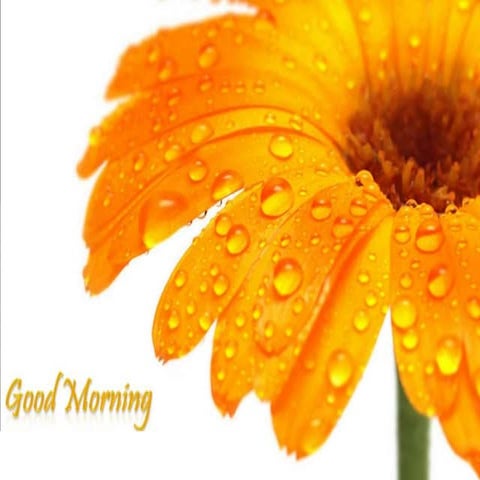 growth and development of face