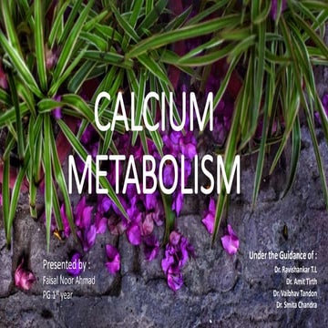 Calcium metabolism and vitamin D | PPTX
