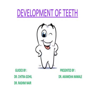 Oral Histology 
