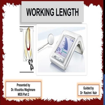 seminar 6 working length.pptx in detail all | PPTX