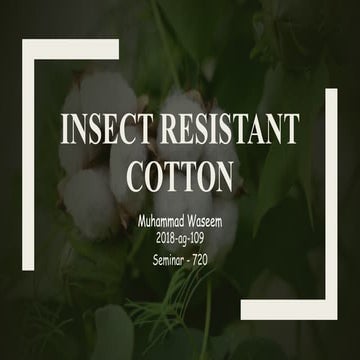 Cotton Breeding Pptx