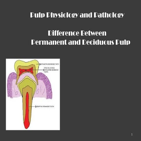 Dentin pulp complex | PPTX