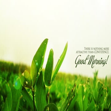 Diseases of the Pulp