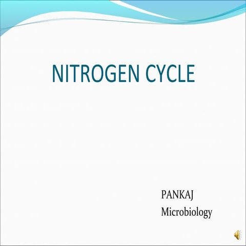 MICROORGANISMS AND NITROGEN CYCLE