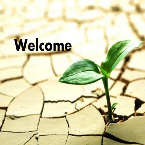 Seminar abiotic stress